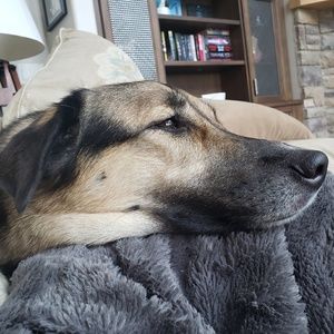 Meet your Posher, Deirdre